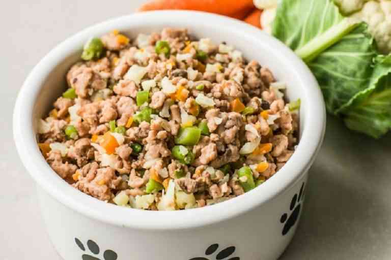 Recetas De Comida Casera Para Perro C Mo Hacerlas En Casa